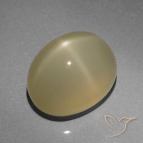 Piedra lunar estrella Marrón muy claro natural de 6.64 ct, Ovalada, Translúcido