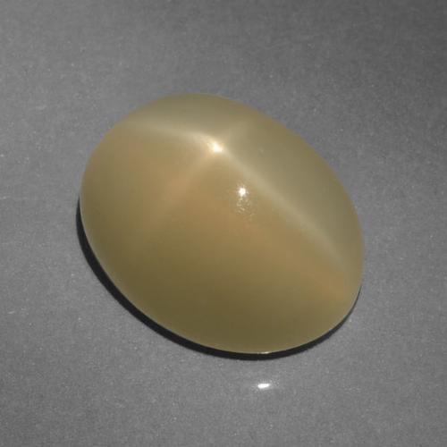 Piedra de luna estrella marrón natural de 6,64 ct, corte óvalo, translúcido