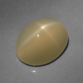 Piedra de luna estrella marrón natural de 6,64 ct, corte óvalo, translúcido