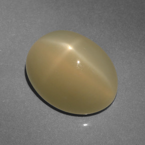 Piedra de luna estrella marrón natural de 6,64 ct, corte óvalo, translúcido