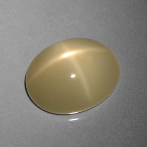 Piedra lunar estrella Marrón café claro natural de 8.95 ct, Corte Óvalo, Translúcido