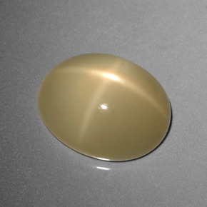 Piedra lunar estrella Marrón café claro natural de 8.95 ct, Corte Óvalo, Translúcido