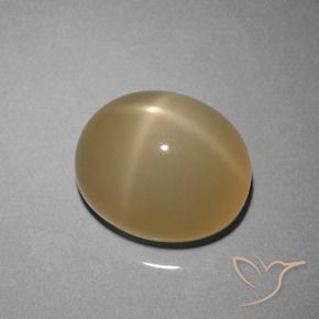 Piedra lunar estrella Marrón amarillento natural de 8.51 ct, Ovalada, Translúcido