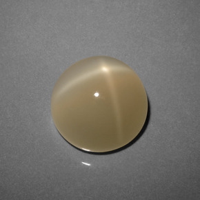 Piedra de luna estrella marrón natural de 8,73 ct, corte redondo, translúcido