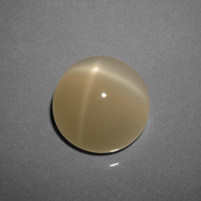 Piedra de luna estrella marrón natural de 8,73 ct, corte redondo, translúcido