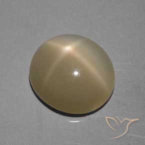 Piedra lunar estrella Marrón amarillo claro natural de 6.68 ct, Ovalada, Translúcido