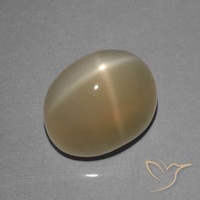 Piedra lunar estrella Marrón pálido natural de 8.39 ct, Ovalada, Translúcido