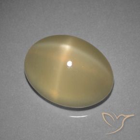 Piedra lunar estrella Marrón cálido claro natural de 7.29 ct, Ovalada, Translúcido