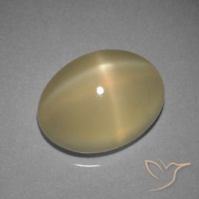 Piedra lunar estrella Marrón cálido claro natural de 7.29 ct, Ovalada, Translúcido