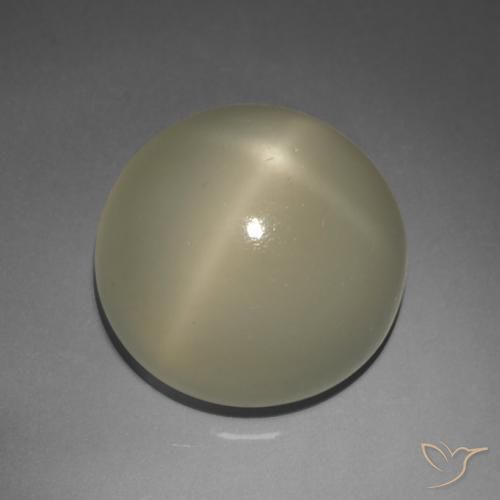 9.02ct Natural Marrón terroso Piedra lunar estrella, Redondo, Translúcido