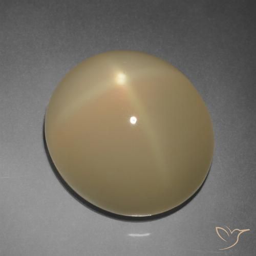 11.20ct Natural Marrón tortilla claro Piedra lunar estrella, Ovalada, Translúcido