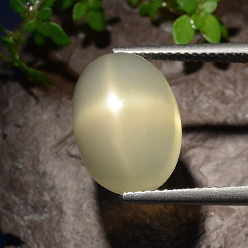 Piedra de luna estrella amarillo natural de 7,58 ct, corte óvalo, translúcido