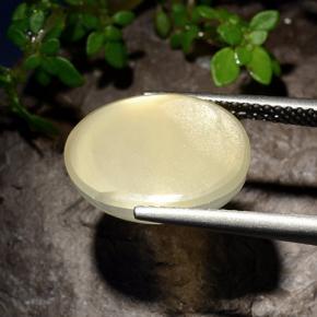 Piedra de luna estrella amarillo natural de 7,58 ct, corte óvalo, translúcido