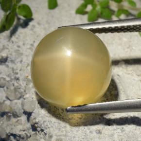 Piedra lunar estrella Amarillo medio natural de 7.32 ct, Corte Redondo, Translúcido