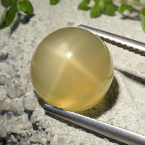 Piedra lunar estrella Amarillo medio natural de 7.32 ct, Corte Redondo, Translúcido