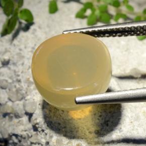 Piedra lunar estrella Amarillo medio natural de 7.32 ct, Corte Redondo, Translúcido