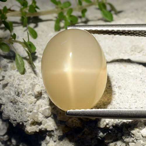 Piedra de luna estrella amarillo natural de 7,68 ct, corte óvalo, translúcido