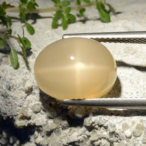 Piedra de luna estrella amarillo natural de 7,68 ct, corte óvalo, translúcido