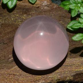 Cuarzo rosa estrella rosa natural de 18,85 ct, corte redondo, translúcido