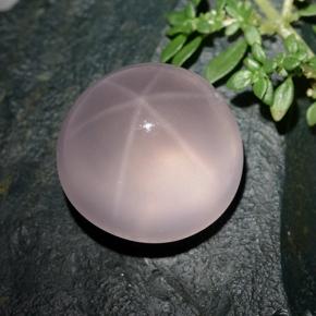 Cuarzo Rosa Estrella Rosa natural de 36.96 ct, Corte Redondo, Transparente