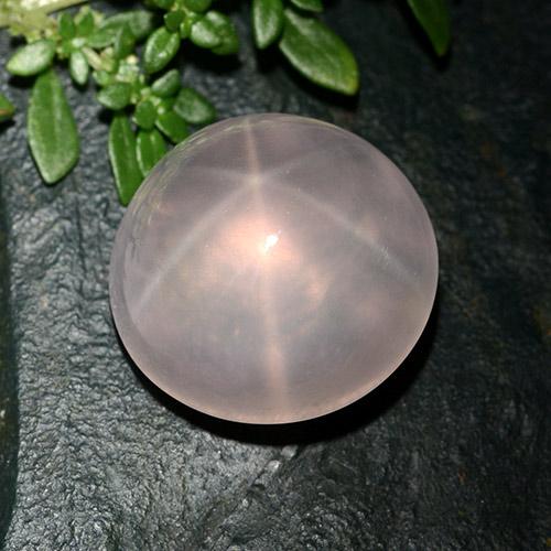 Cuarzo rosa estrella rosa natural de 25,63 ct, corte redondo, transparente