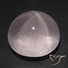 Cuarzo rosa estrella Rosado coral natural de 73.83 ct, Ovalada, Transparente