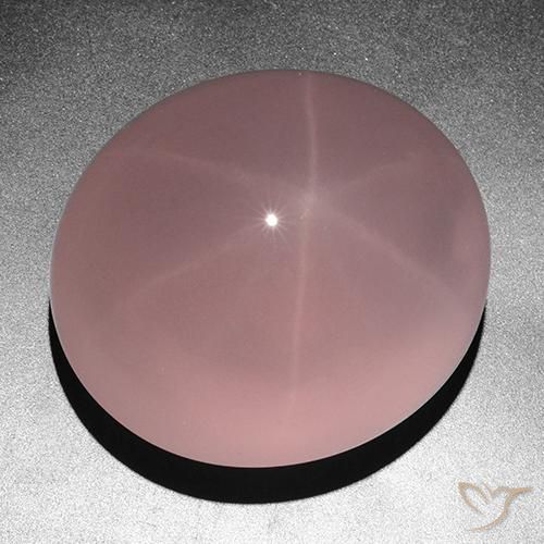 Cuarzo rosa estrella Rosa rosado natural de 263.05 ct, Ovalada, Translúcido