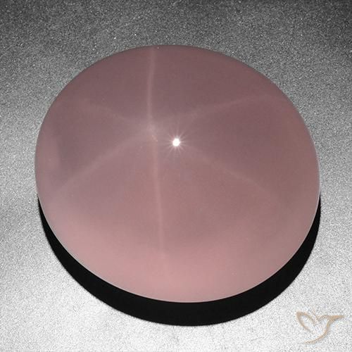 Cuarzo rosa estrella Rosa rosado natural de 263.05 ct, Ovalada, Translúcido