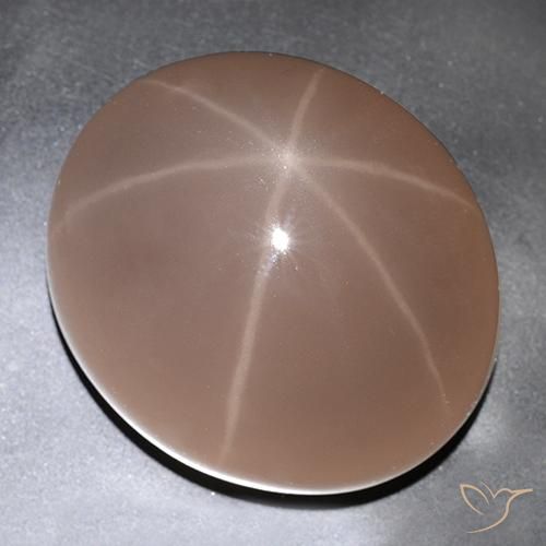 529.63ct Natural Rojo mariquita Cuarzo Rosa Estrella, Ovalada, Translúcido