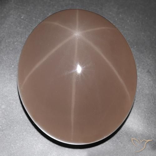 Cuarzo rosa estrella Rojo mariquita natural de 529.63 ct, Ovalada, Translúcido