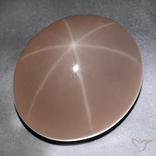 Cuarzo rosa estrella Rojo mariquita natural de 529.63 ct, Ovalada, Translúcido