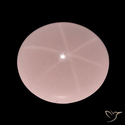 62.47ct Tono rosado Cuarzo rosa estrella, Ovalada, Translúcido