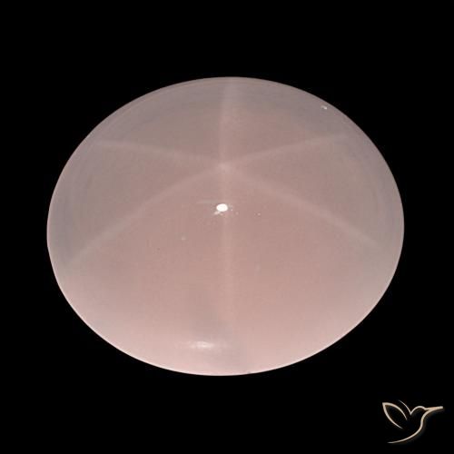 61.91ct Rosado claro Cuarzo rosa estrella, Ovalada, Translúcido