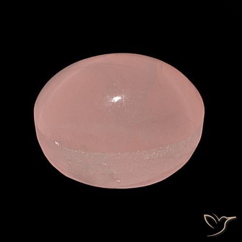 Cuarzo rosa estrella Rosa rosado natural de 36.81 ct, Ovalada, Translúcido