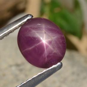 Rubí Estrella Rojo púrpura natural de 1.52 ct, Corte Óvalo, Opaco
