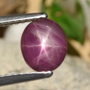 Rubí Estrella Rojo púrpura natural de 1.52 ct, Corte Óvalo, Opaco