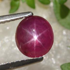 Rubí Estrella Rojo púrpura natural de 1.70 ct, Corte Óvalo, Translúcido