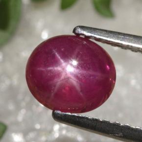 Rubí Estrella Rojo púrpura natural de 1.70 ct, Corte Óvalo, Translúcido