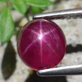 Rubí Estrella Rojo púrpura natural de 2.54 ct, Corte Óvalo, Translúcido