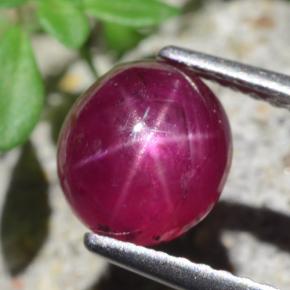 Rubí Estrella Rojo púrpura natural de 2.54 ct, Corte Óvalo, Translúcido