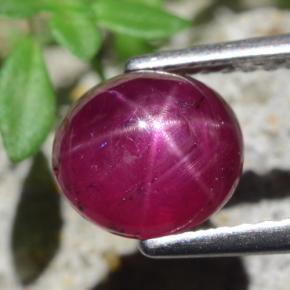 Rubí Estrella Rojo púrpura natural de 2.54 ct, Corte Óvalo, Translúcido