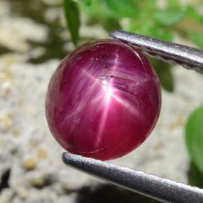 Rubí estrella rojo natural de 2,27 ct, corte óvalo, translúcido