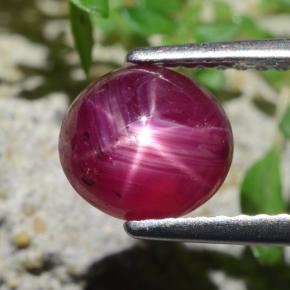 Rubí estrella rojo natural de 2,27 ct, corte óvalo, translúcido