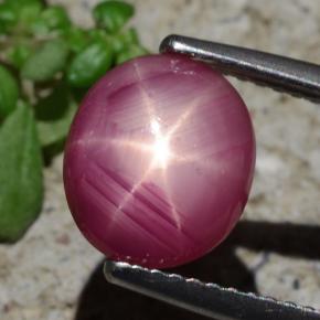 Rubí estrella rojo natural de 3,05 ct, corte óvalo, opaco