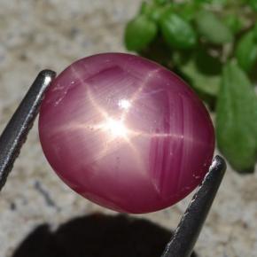 Rubí estrella rojo natural de 3,05 ct, corte óvalo, opaco