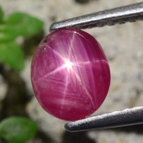 Rubí Estrella Rojo púrpura natural de 1.71 ct, Corte Óvalo, Translúcido