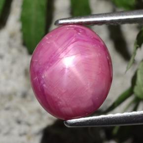 Rubí estrella rojo natural de 4,47 ct, corte óvalo, opaco
