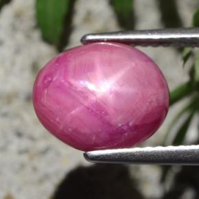 Rubí estrella rojo natural de 4,47 ct, corte óvalo, opaco