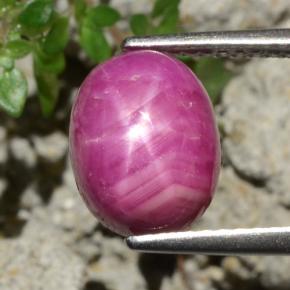 Rubí estrella rojo natural de 4,79 ct, corte óvalo, opaco