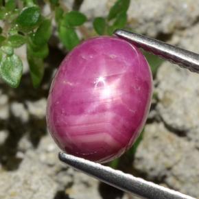 Rubí estrella rojo natural de 4,79 ct, corte óvalo, opaco